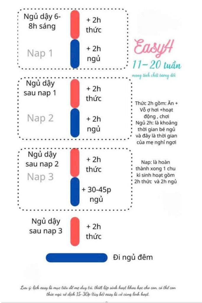 lịch sinh hoạt EASY 4