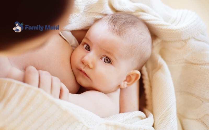 Kinh nghiệm áp dụng cluster feed trong EASY Ăn tích lũy EASY là gì?