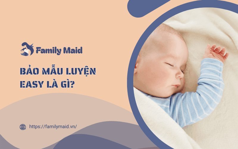 Bảo mẫu luyện EASY là gì