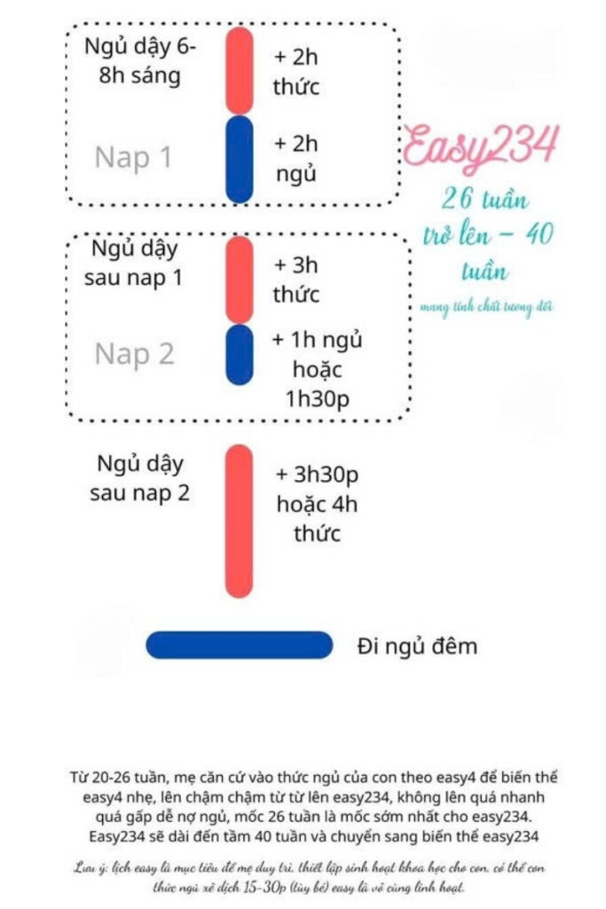 EASY 2 3 4 là gì?