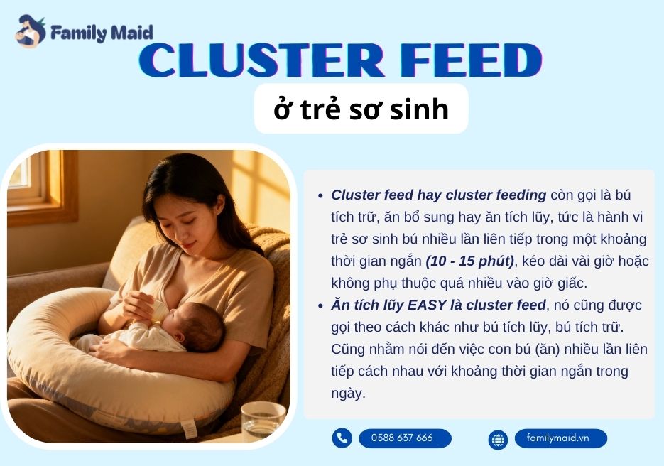 Cluster feed Cluster feed