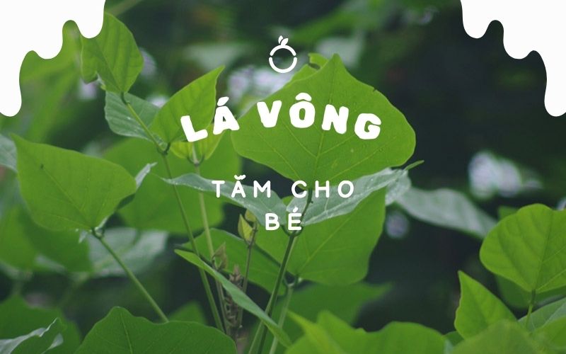 Dùng lá vông tắm cho bé