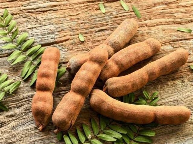 Quả me có tính axit cao, có thể khiến sữa mẹ thay đổi mùi vị
