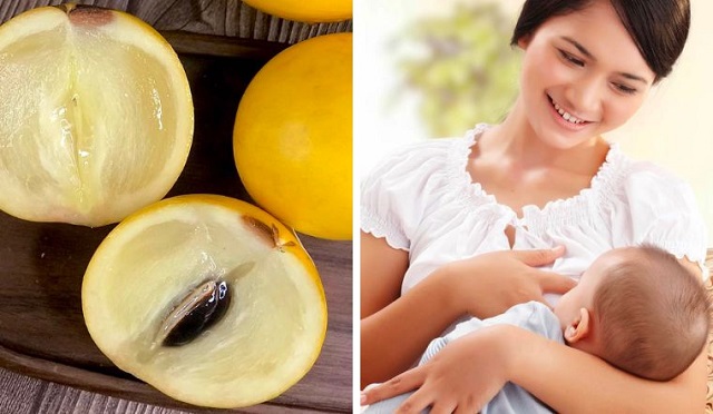 Tìm hiểu vú sữa có tốt cho mẹ sau sinh không
