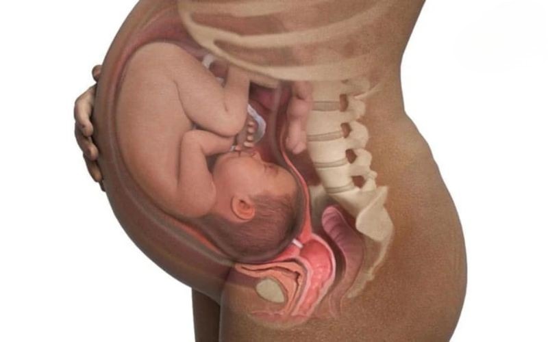 Tiền sử sinh non hoặc co thắt bất thường không nên quan hệ
