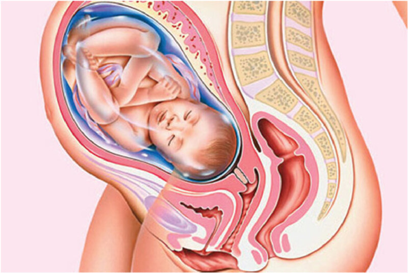 Tư thế nằm ngửa khiến tử cung chèn ép ruột và gan, gây táo bón, đầy hơi và cảm giác mệt mỏi kéo dài cho mẹ bầu Tư thế nằm ngửa khiến tử cung chèn ép ruột và gan, gây táo bón, đầy hơi và cảm giác mệt mỏi kéo dài cho mẹ bầu