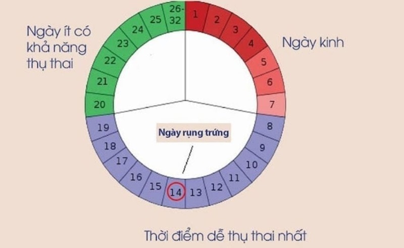 Phương pháp tính tuổi thai theo ngày kinh cuối đơn giản, nhanh chóng và tiện lợi cho mẹ bầu