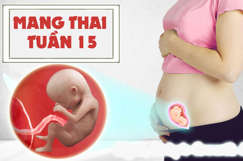 Ở tuần thai 15, cơ thể mẹ bầu thay đổi rõ rệt khi bụng lớn dần và cân nặng bắt đầu tăng đều