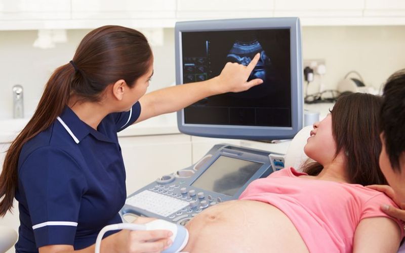 Tim của bé đập đều đặn với bốn buồng rõ ràng