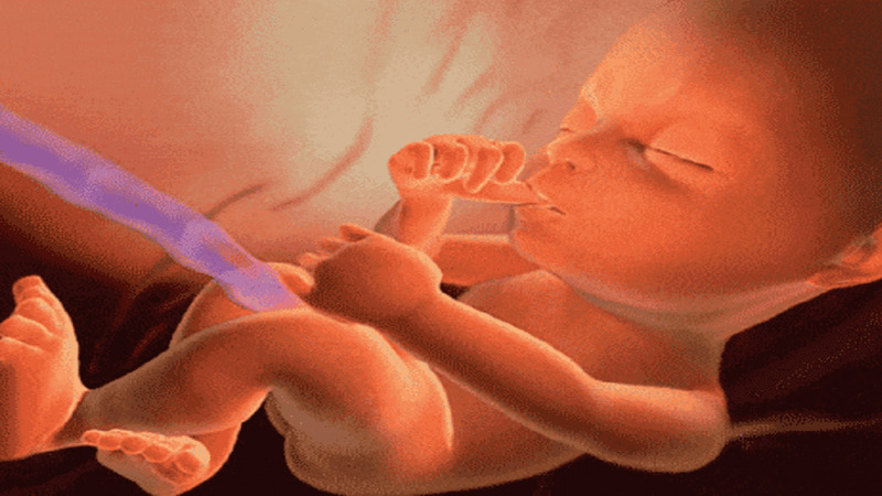 Sang tuần 13, cơ thể mẹ bầu dần ổn định, bụng bầu rõ hơn và tinh thần thoải mái hơn Sang tuần 13, cơ thể mẹ bầu dần ổn định, bụng bầu rõ hơn và tinh thần thoải mái hơn