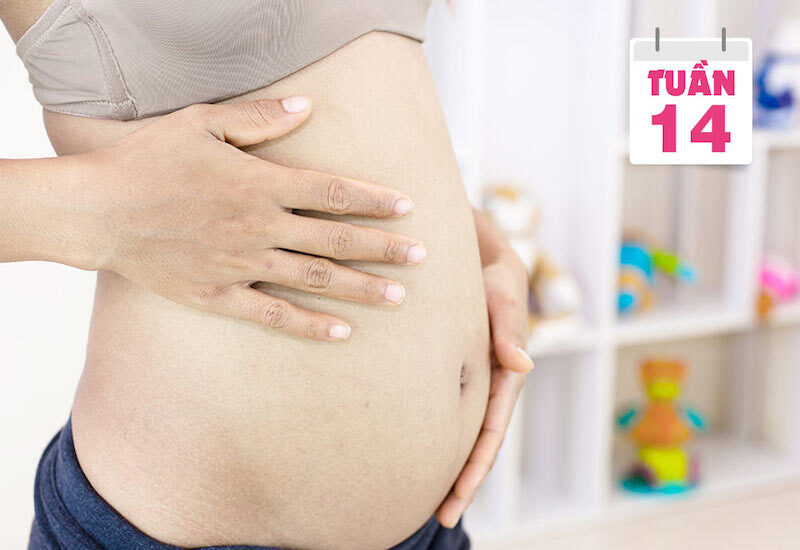 Thai giáo tuần 14 giúp bé phát triển não bộ và cảm xúc đồng thời tăng cường kết nối với bố mẹ Thai giáo tuần 14 giúp bé phát triển não bộ và cảm xúc đồng thời tăng cường kết nối với bố mẹ