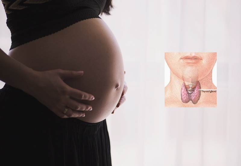Mít hỗ trợ tuyến giáp, giúp thai nhi phát triển toàn diện Mít hỗ trợ tuyến giáp, giúp thai nhi phát triển toàn diện