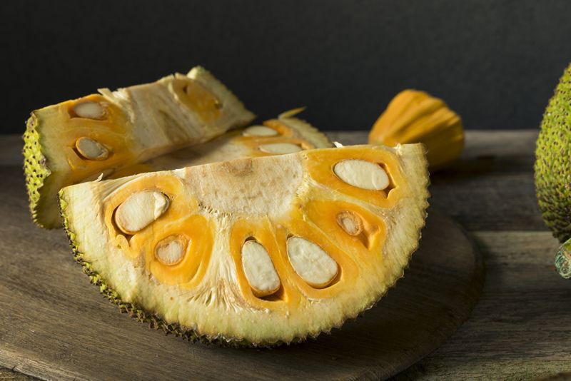 Vitamin C dồi dào trong mít đóng vai trò quan trọng Vitamin C dồi dào trong mít đóng vai trò quan trọng